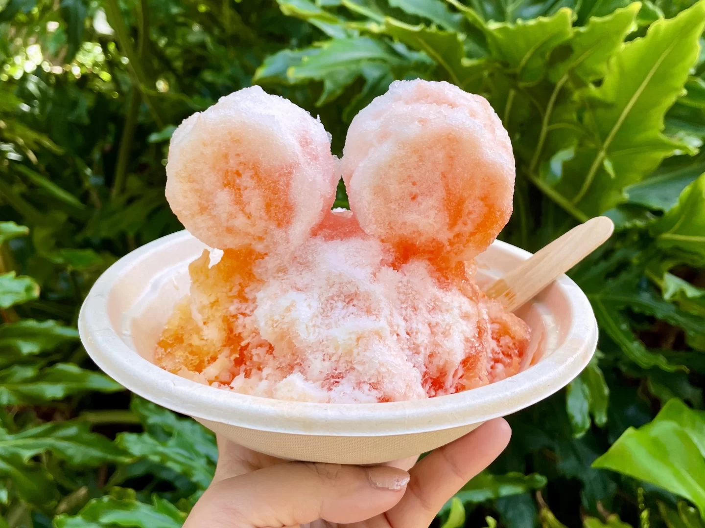 Best Shave Ice in Oahu